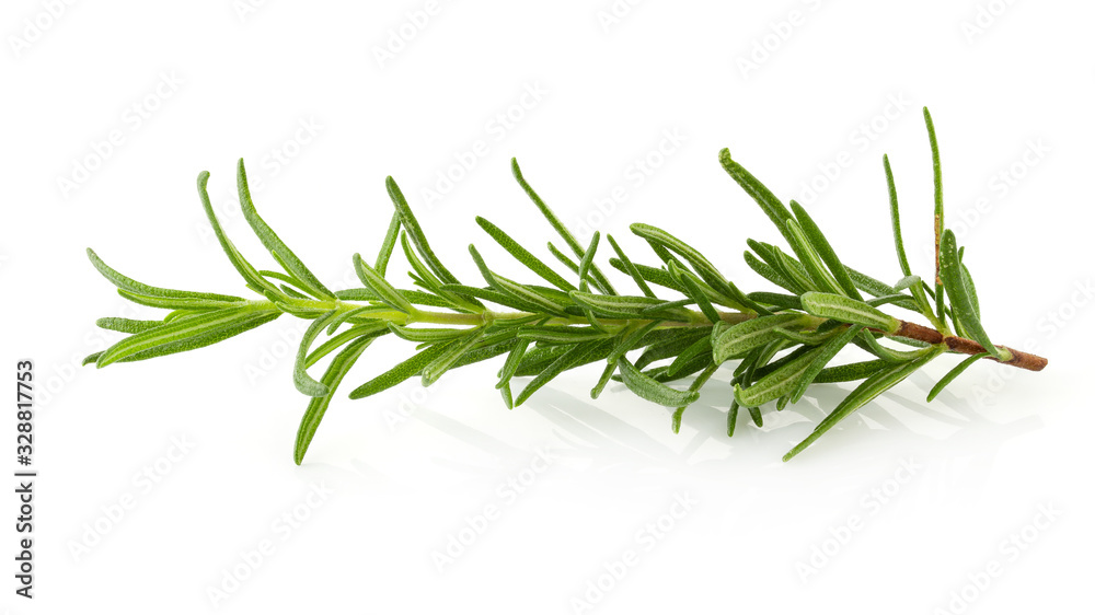 Fresh rosemary isolated on a white background.