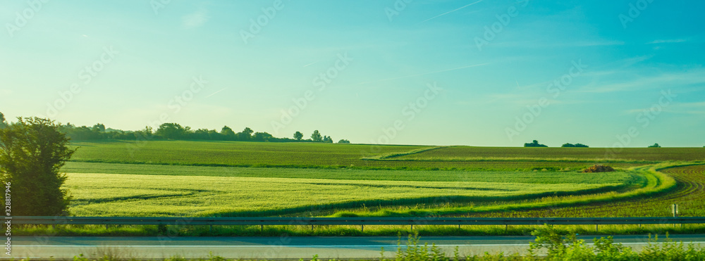 Obraz premium Germany, Frankfurt, Sunrise, a person standing on a lush green field