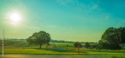 Germany, Frankfurt, Sunrise, a large green field with trees in the background