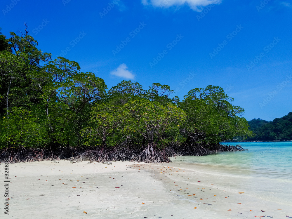 Φωτογραφία background, beach, beautiful, blue, forest, green, holiday, island, landscape, m