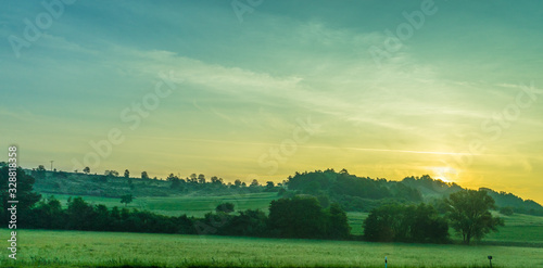 Germany, Frankfurt, Sunrise, a herd of cattle grazing on a lush green field