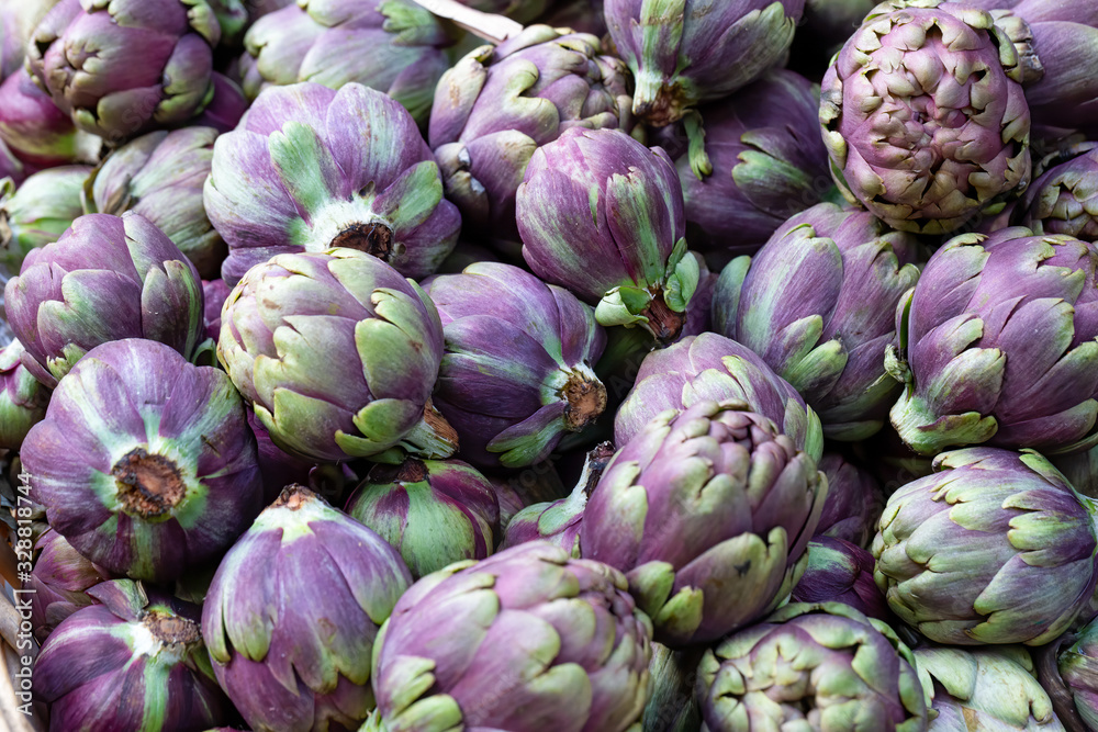 Close up of many purple globe artichokes, Cynara cardunculus, background image Close up of many purple globe artichokes, Cynara cardunculus, background image