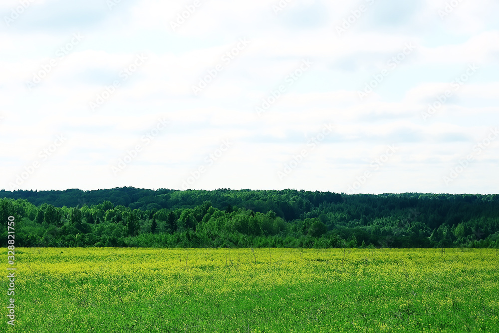 landscape hills with forest