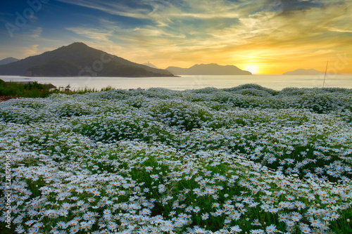 朝焼けのフラワーパークうらしま