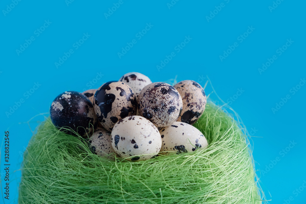 Obraz premium Close-up of a nest of green grass with quail eggs on a blue background. Easter. Place for text