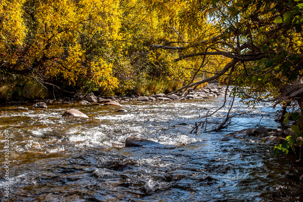 Mountain river lit by the sun flowing between bushes with yellow autumn foliage. A lot of stones in the river. Horizontal. Mountain river lit by the sun flowing between bushes with yellow autumn foliage. A lot of stones in the river. Horizontal.