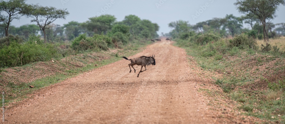 Fototapeta premium Przejście