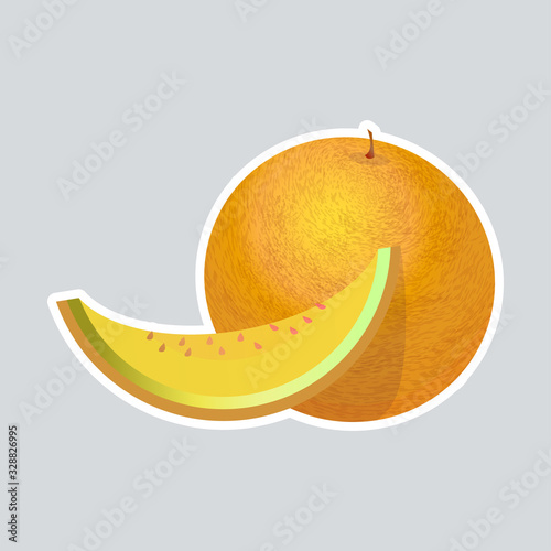 fresh juicy melon icon tasty ripe fruit sticker healthy food concept vector illustration