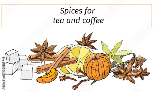 Vector banner with spices for tea and coffee on a white background. Ingredients for winter drinks are lime, cinnamon, anise, vanilla and mandarin.