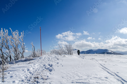 Fototapeta Naklejka Na Ścianę i Meble -  Bieszczady zimą połoniny