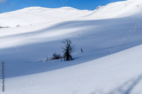 Fototapeta Naklejka Na Ścianę i Meble -  Bieszczady zimą połoniny