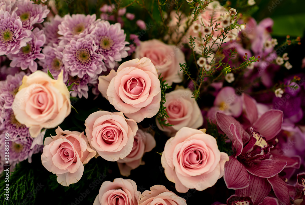 Closeup image of beautiful flowers wall background with amazing red and white roses Retro filter. Closeup image of beautiful flowers wall background with amazing red and white roses Retro filter.