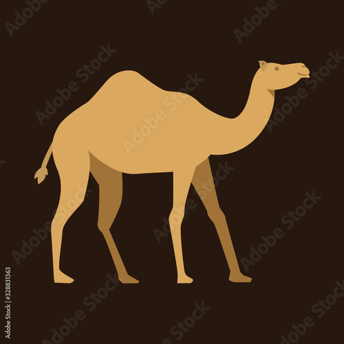 camel vector graphic element design