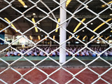 Full Frame Metal Fence with Blurred Thai Students in Uniform Sitting on the Floor Waiting for the Exam