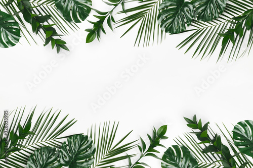 Natural Green flat lay tropical palm leaves branches on white