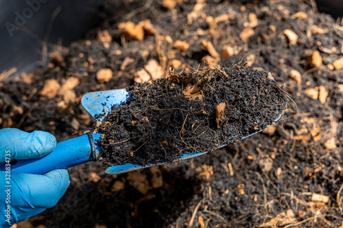 Wallpaper Mural Gardeners wear gloves with a shovel to prepare the soil. Torontodigital.ca