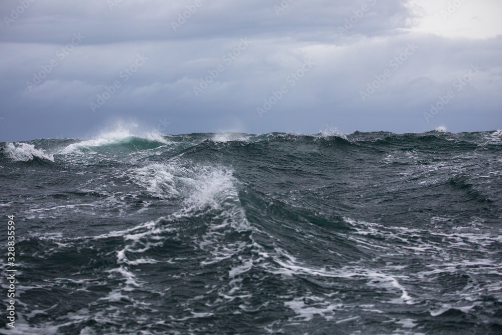 Wild Bruny Island