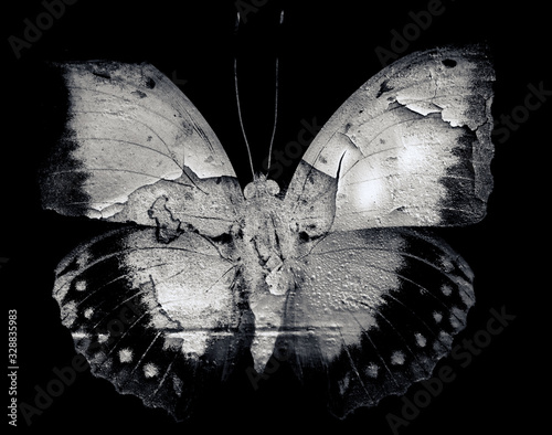Grunge butterfly