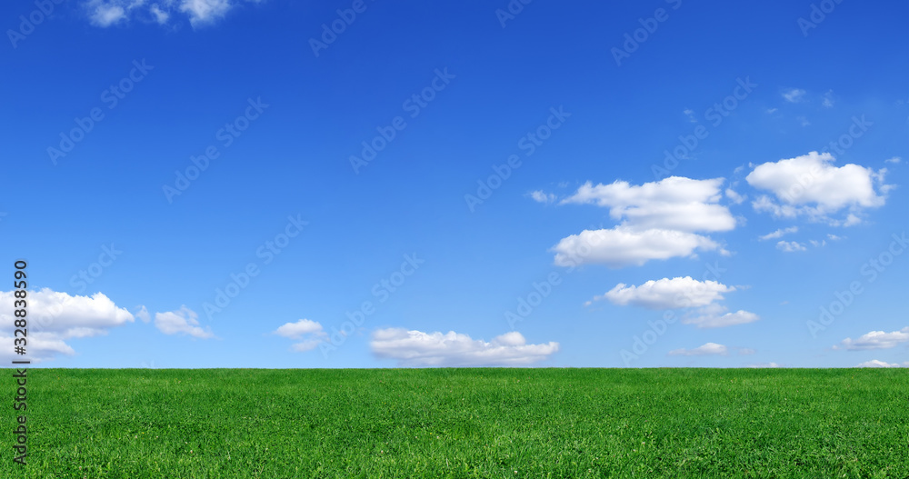 Idyllic view, green field and blue sky with white clouds