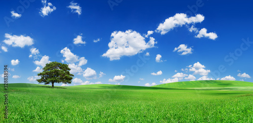 Idyll, panoramic landscape, lonely tree among green fields