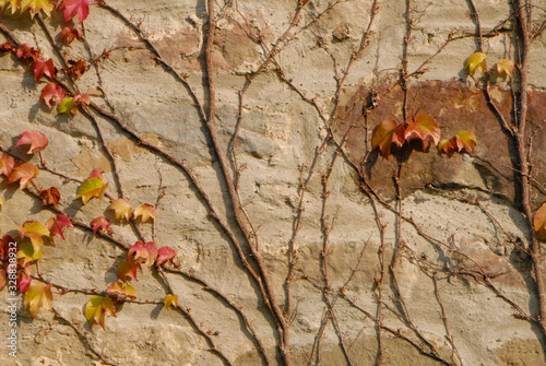 walking in the area aorund Hanover
