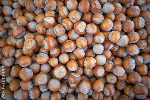 Macro photo Hazelnut nuts. Photo nature food Hazelnut nuts in shell