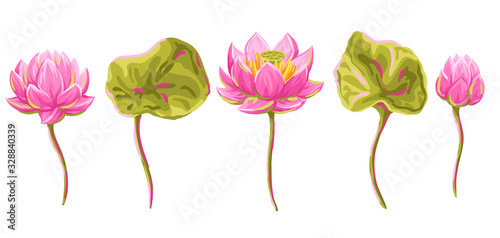 Set of lotus flowers. Water lily decorative illustration.