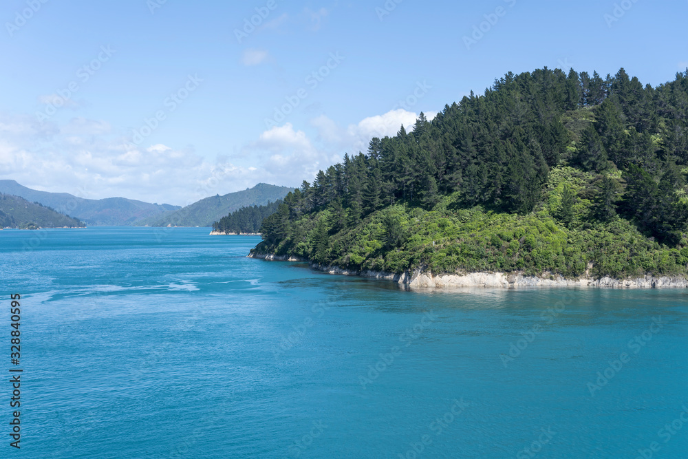 capes on green shore, Queen Charlotte Sound, New Zealand capes on green shore, Queen Charlotte Sound, New Zealand