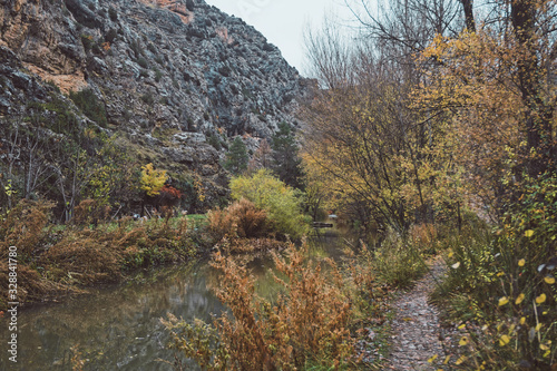 Paisaje 