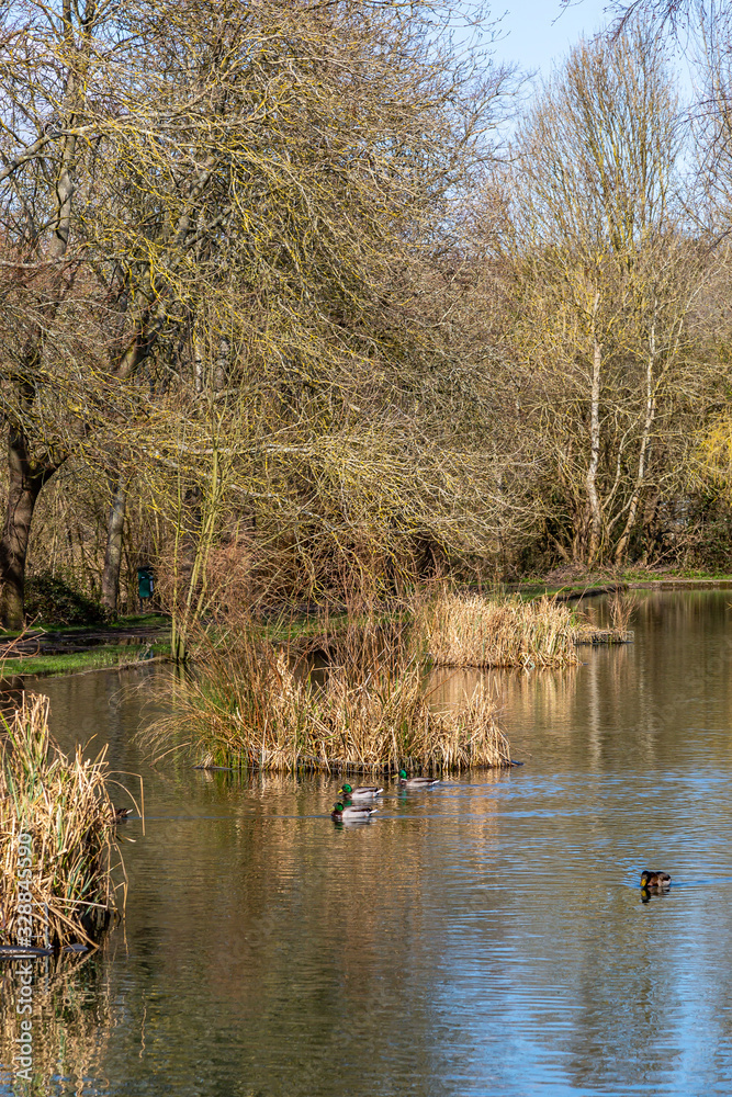 The Pells in Lewes, Sussex, on a sunny early spring morning The Pells in Lewes, Sussex, on a sunny early spring morning