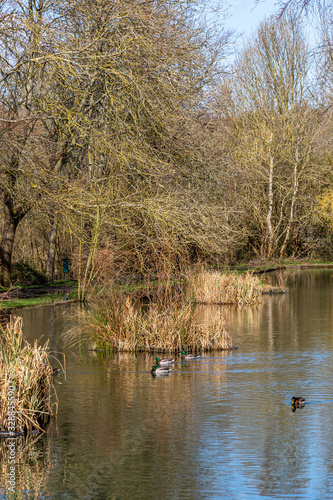 The Pells in Lewes, Sussex, on a sunny early spring morning