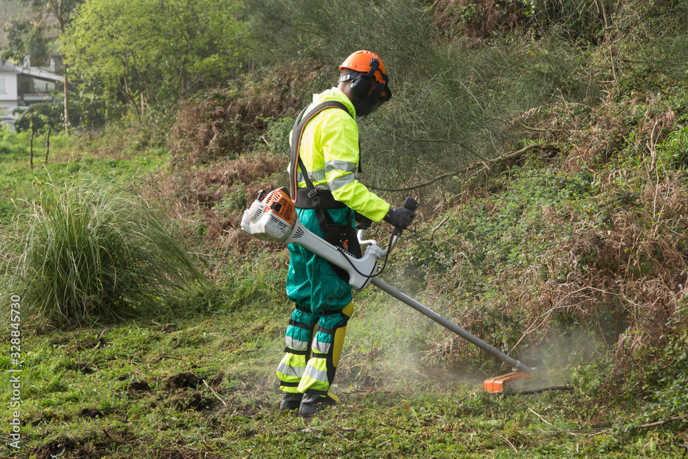Obraz premium Forestry worker