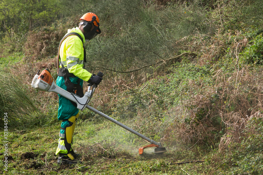 forest worker cutting the grass forest worker cutting the grass