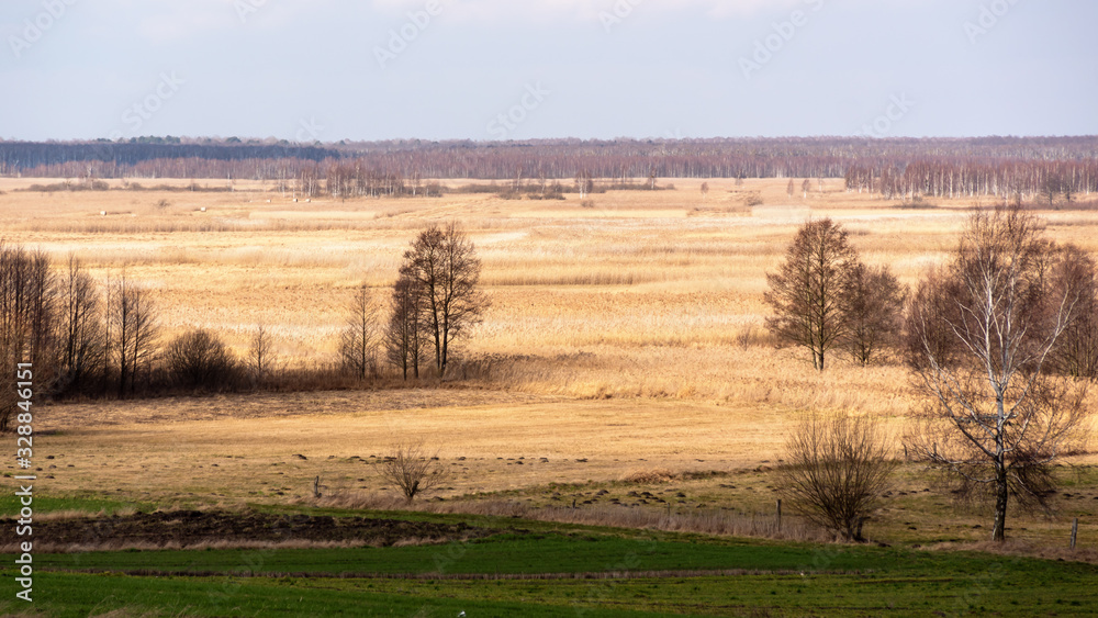 Biebrzański Park Narodowy. Basen środkowy rzeki Biebrzy. Wiosna nad Biebrzą, Podlasie, Polska Biebrzański Park Narodowy. Basen środkowy rzeki Biebrzy. Wiosna nad Biebrzą, Podlasie, Polska