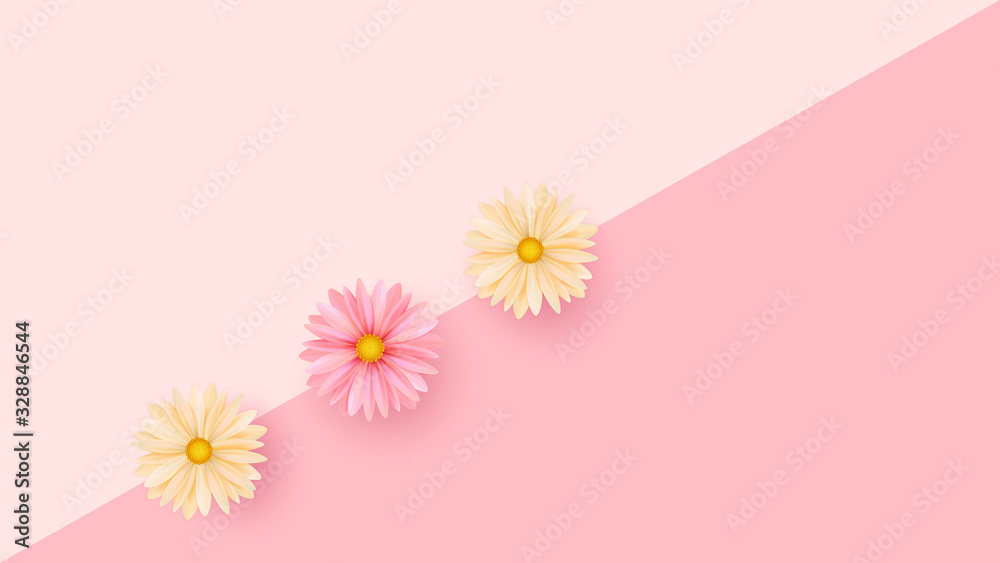 Tender spring flowers on a geometric background. Minimalistic composition. Poster template, holiday cards. Vector