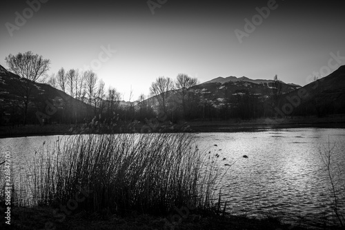 Italian lake and trees in black and white, with mountain on background