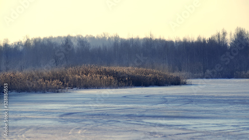 Beautiful winter landscape with dry grass on a swamp. © sergofan2015