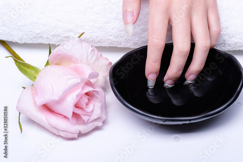 Spa treatments for hand nails close-up. Cosmetic procedures for nails in spa salon. Fingers are dipped in pink water bath. Rose lies table  next to window of water into which woman s hand is lowered.