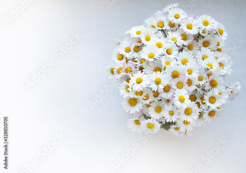 Bouquet of daisy flowers on white background closeu. Spring, summer greeting card