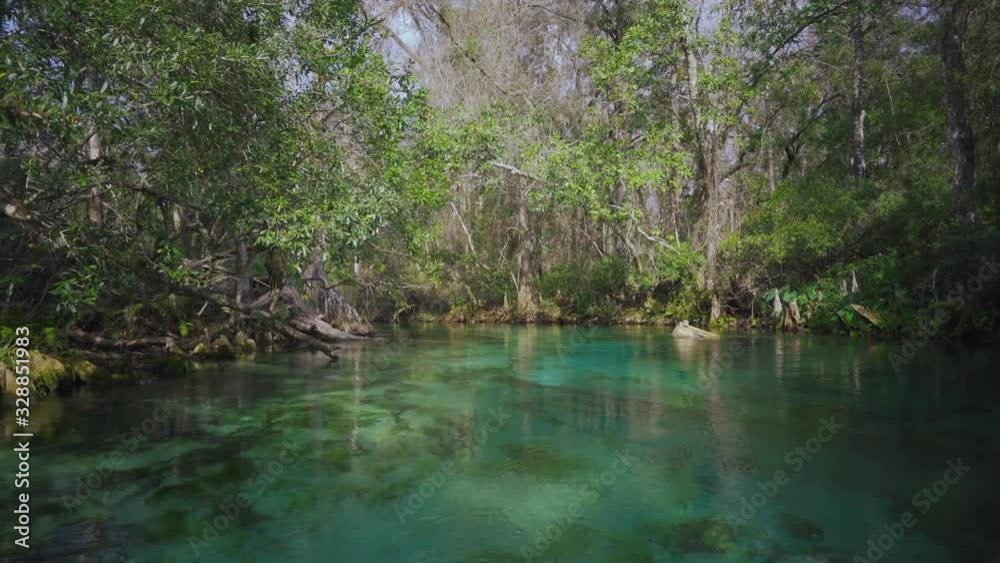 Kayaking through the magical clear blue and turquoise water of Weeki Wachee Springs State Park river in Florida, home to manatees and wildlife. The sun is shining through green tropical trees Kayaking through the magical clear blue and turquoise water of Weeki Wachee Springs State Park river in Florida, home to manatees and wildlife. The sun is shining through green tropical trees