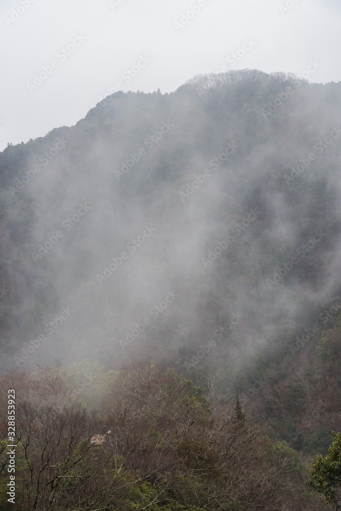 竜神峡山霧