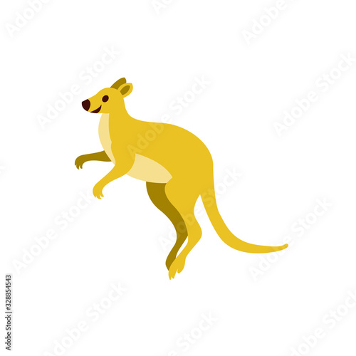 kangaroo vector graphic element design