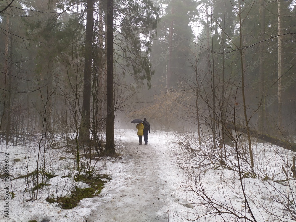 Couple with umbrella walks in gloomy rainy day in forest in early spring with melting snow Couple with umbrella walks in gloomy rainy day in forest in early spring with melting snow