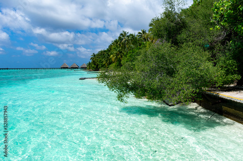 Fototapeta Naklejka Na Ścianę i Meble -  Maldives, Kaafu atoll - December 27 2019 - The vegetation and the turquoise sea Maldivians
