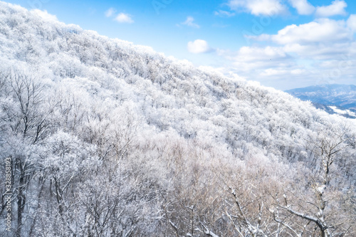 winter in mountains © purchikery