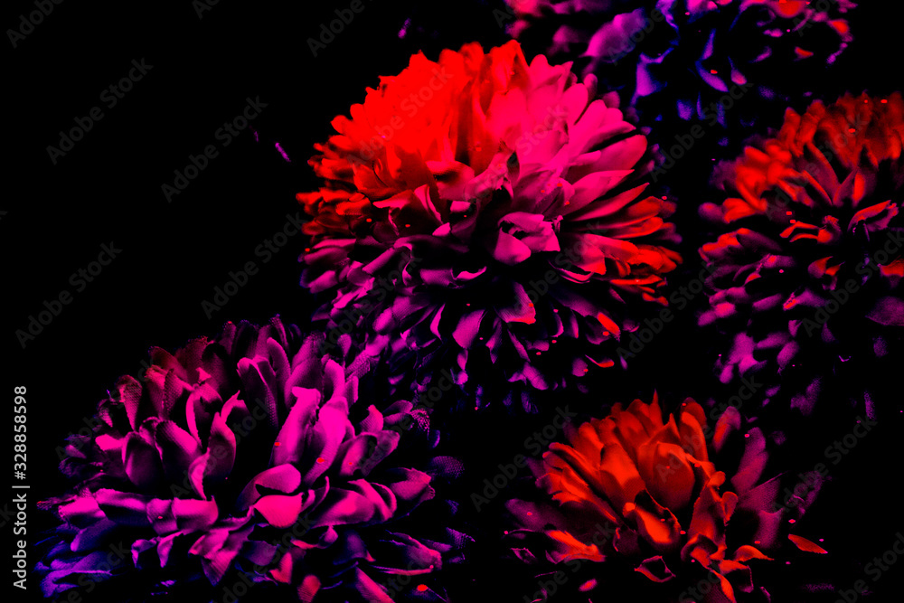 Beautiful abstract color blue pink and purple flowers on black background and blue graphic white flower frame and pink leaves texture, purple background, pink flower, colorful flowers graphics banner 