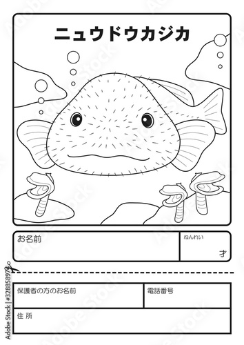 ニュウドウカジカ（ブロブフィッシュ）　ぬりえ　応募用紙　coloring picture  Psychrolutes marcidus Blobfish Character illustration photo