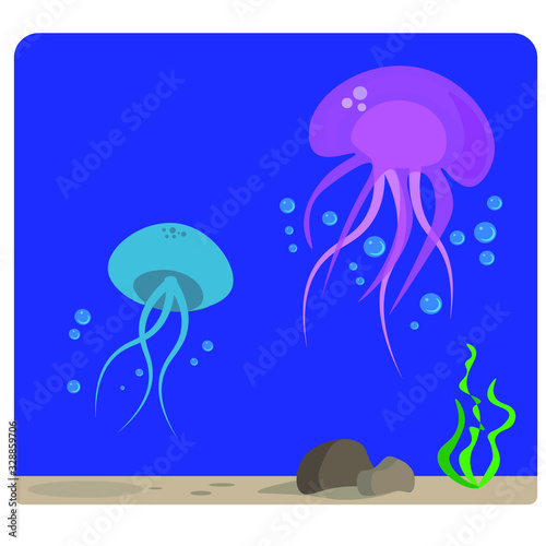 jellyfish swim in the sea. marine fauna and flora. big pink jellyfish.