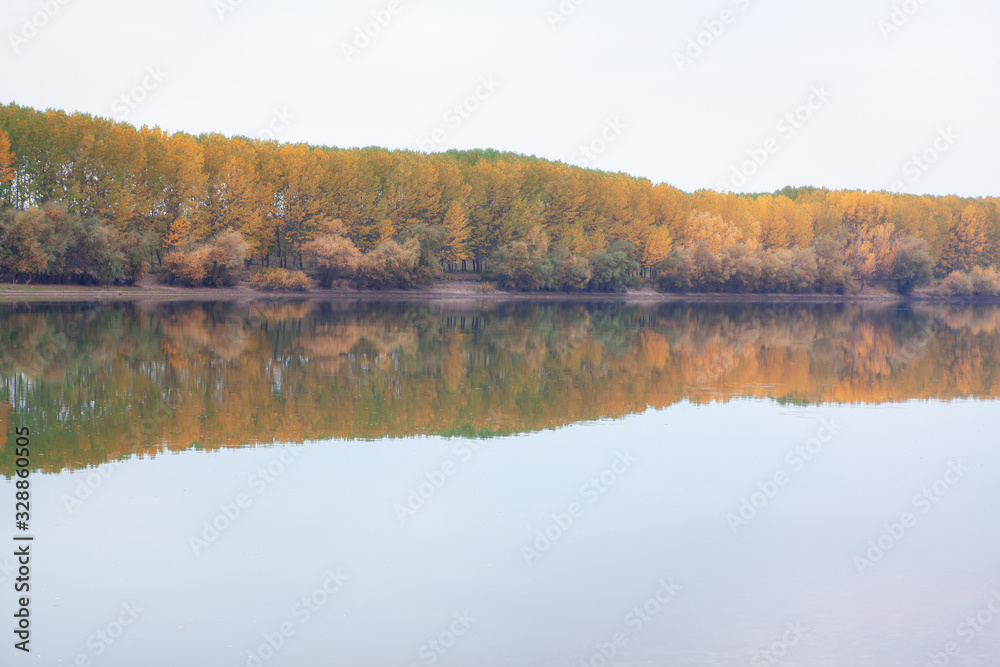 autumn nature reflected in the water