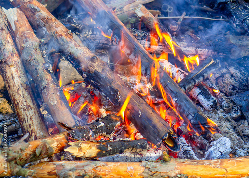 firewood burns in a bonfire